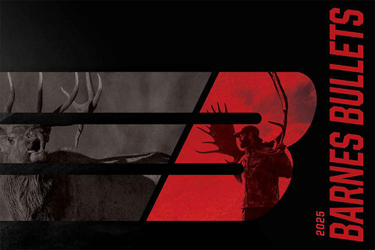 Catalogo Barnes 2025