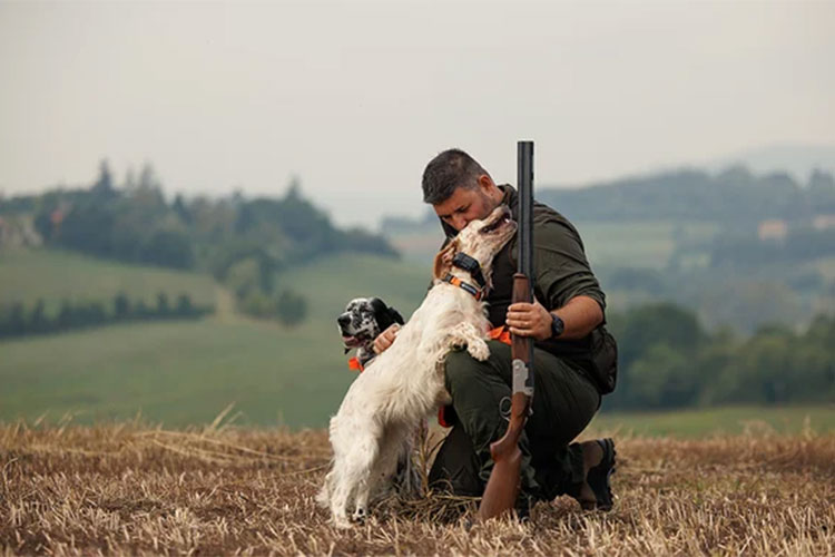 Catalogo Beretta 2026